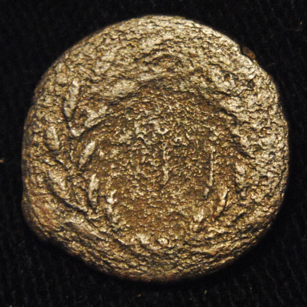 Sicilian-�'s-Are-Great-!-Especially-The-Punic